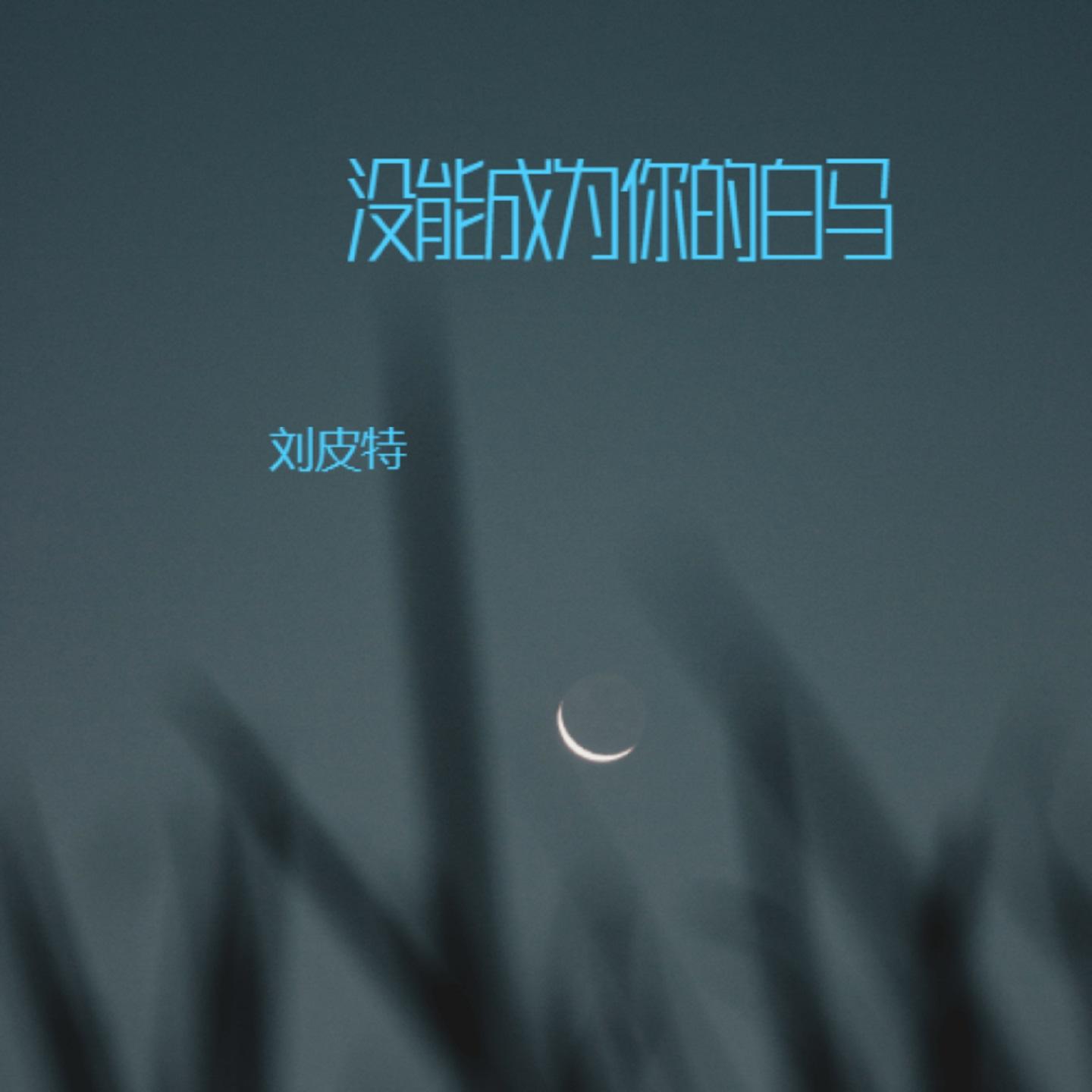 没能成为你的白马封面
