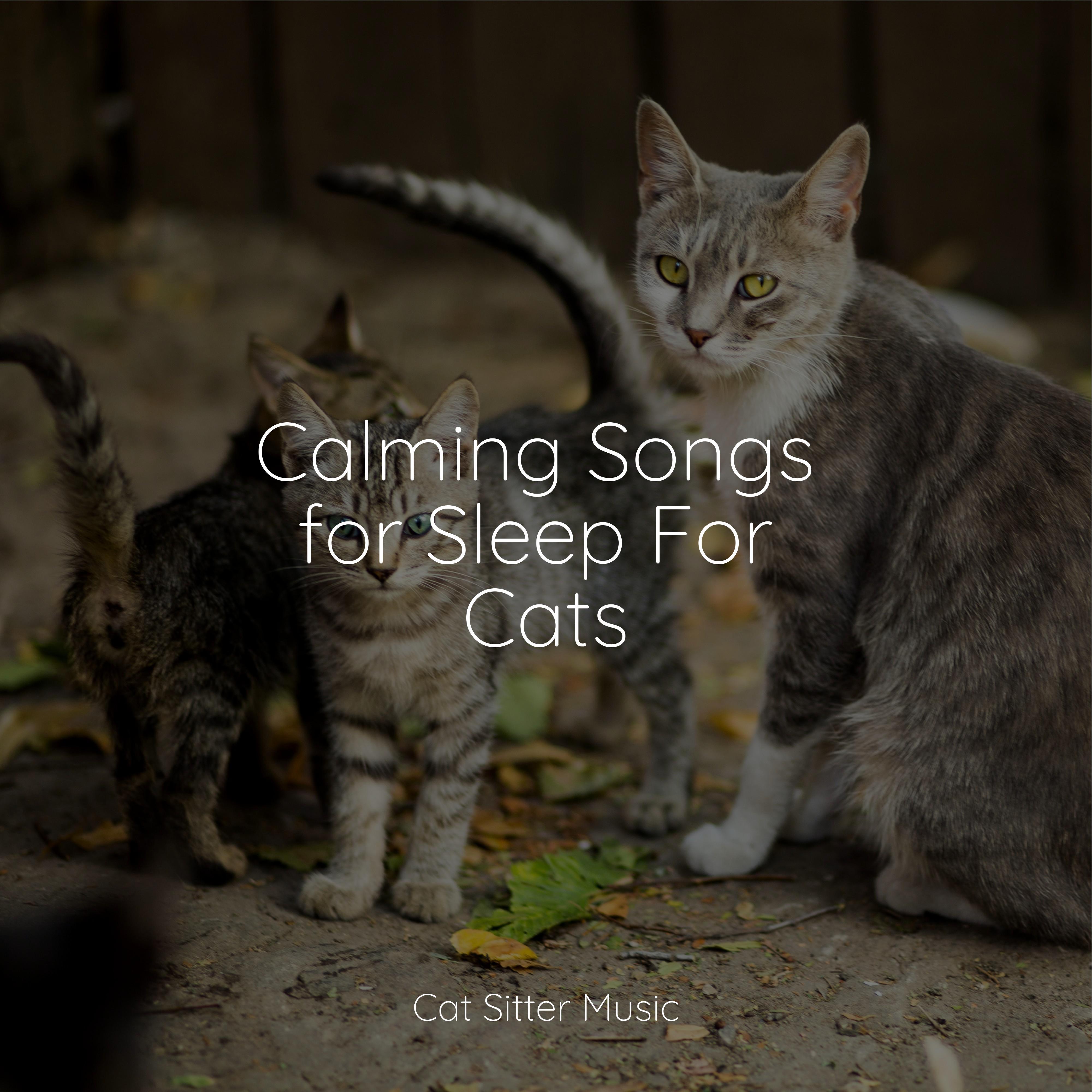 Chill Before Snoozing Jazz Music for Cats/Music for Cats Project/Music for Cats Deluxe 单曲
