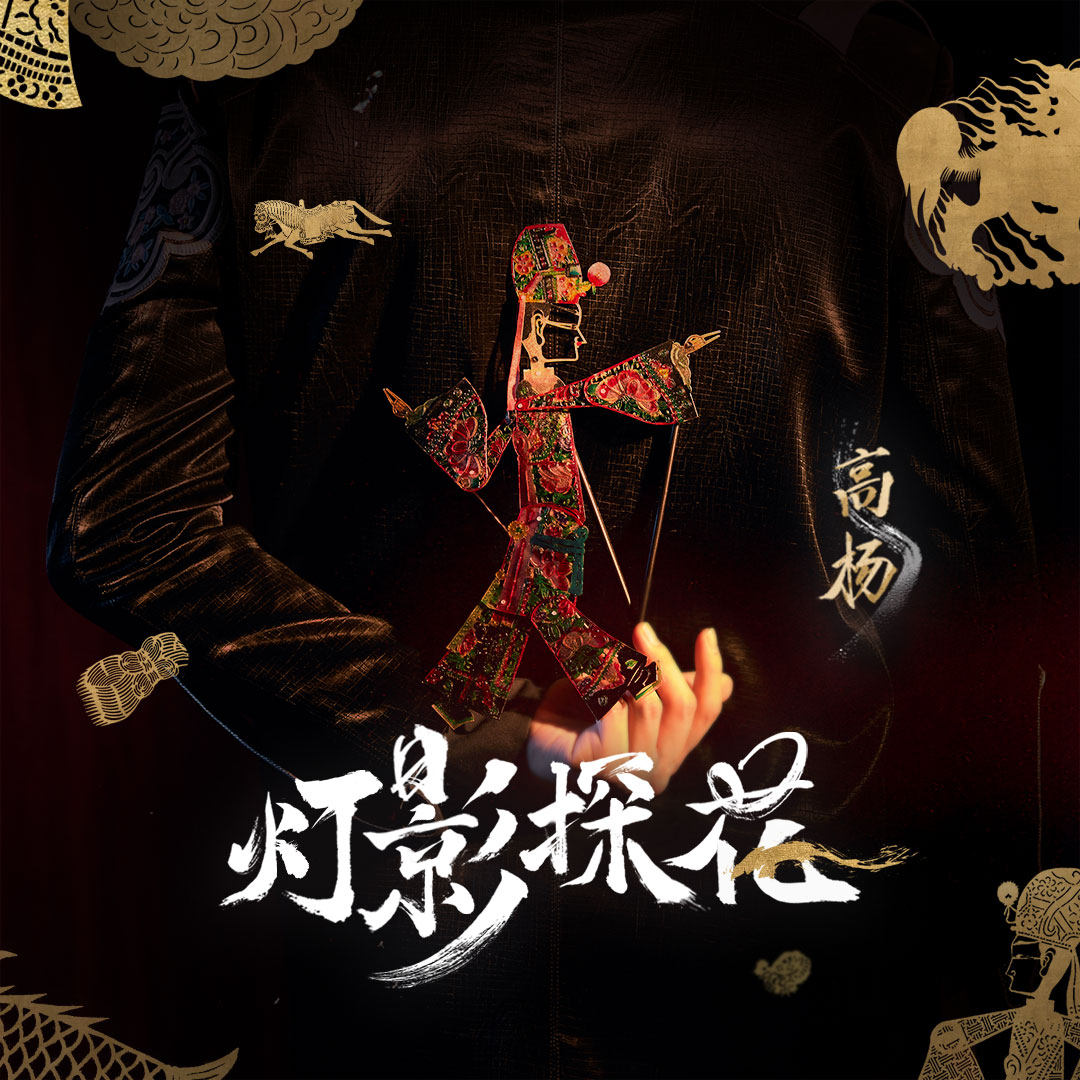 灯影探花 (伴奏) - 高杨封面