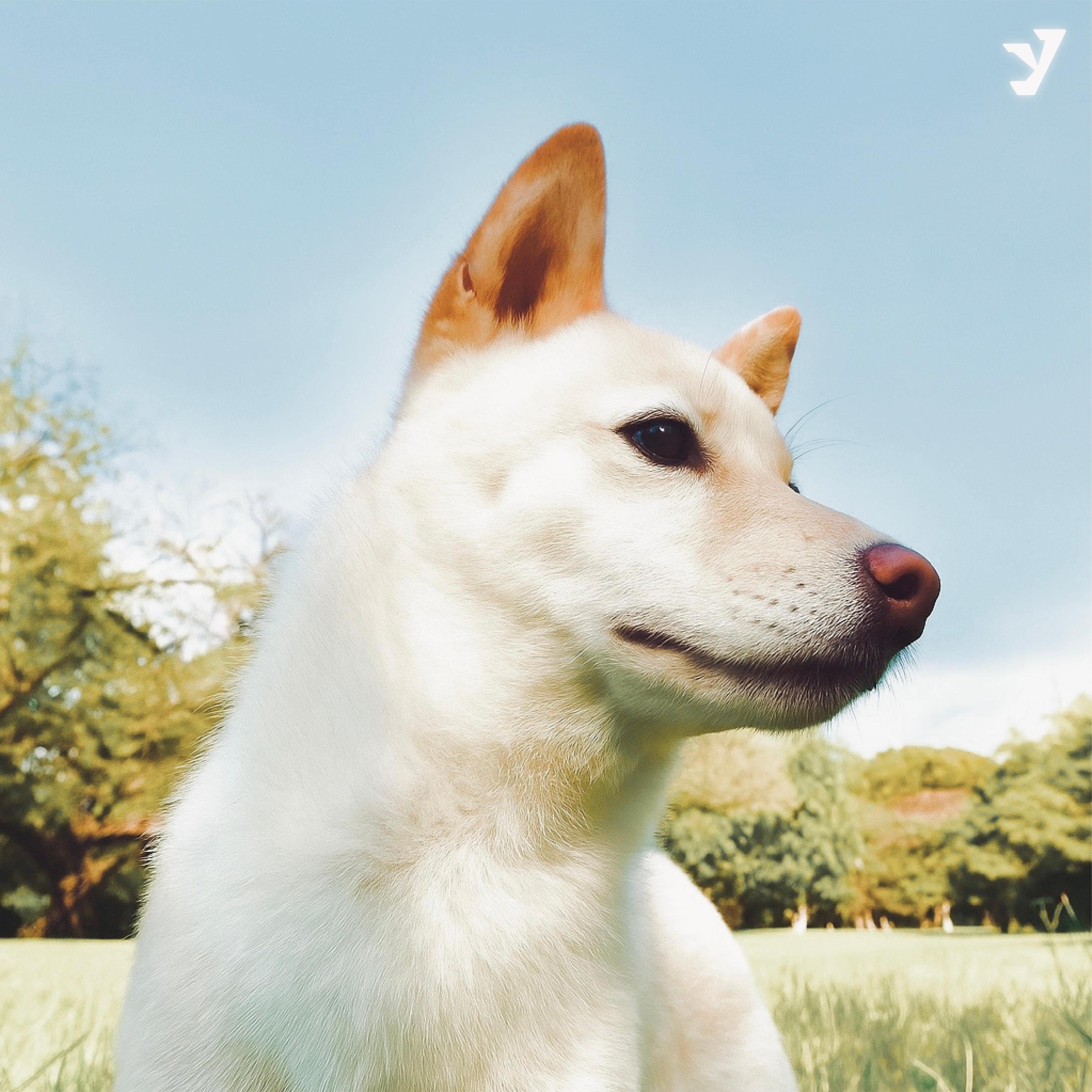 Ghost (feat. Glasscat)