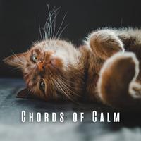 Chords of Calm: Piano Melodies for Cats' Relaxation