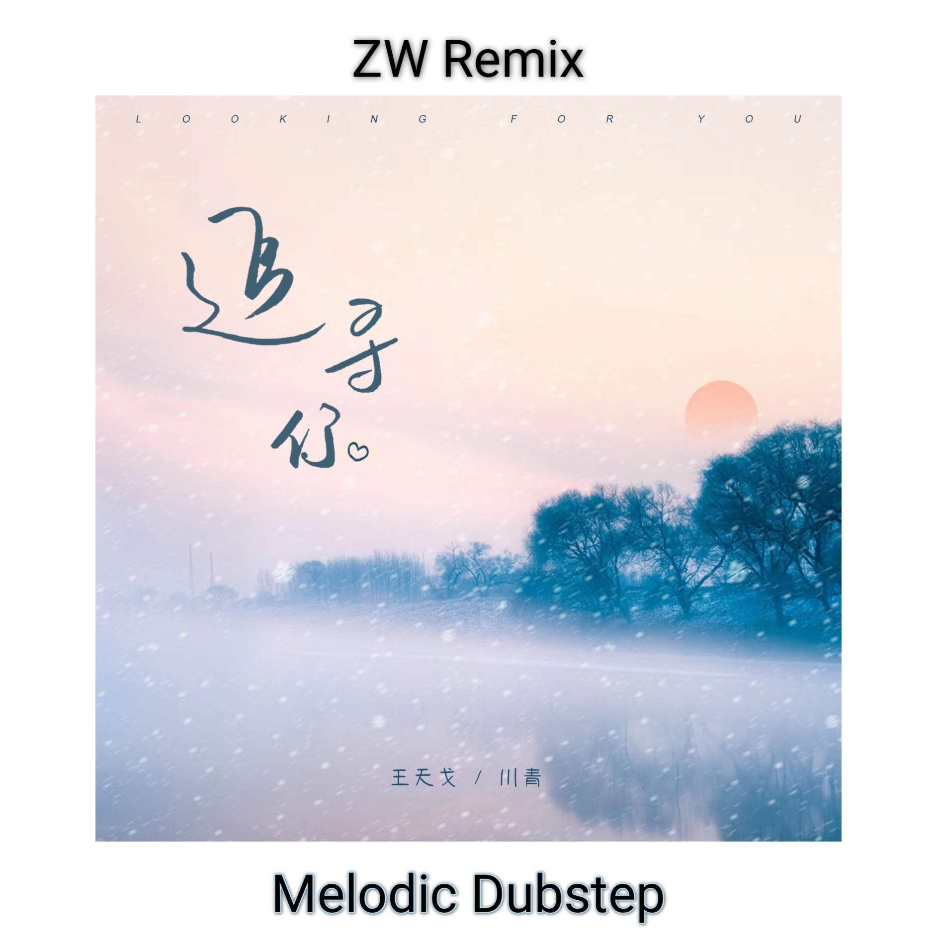 王天戈-追寻你（ZW Remix）封面