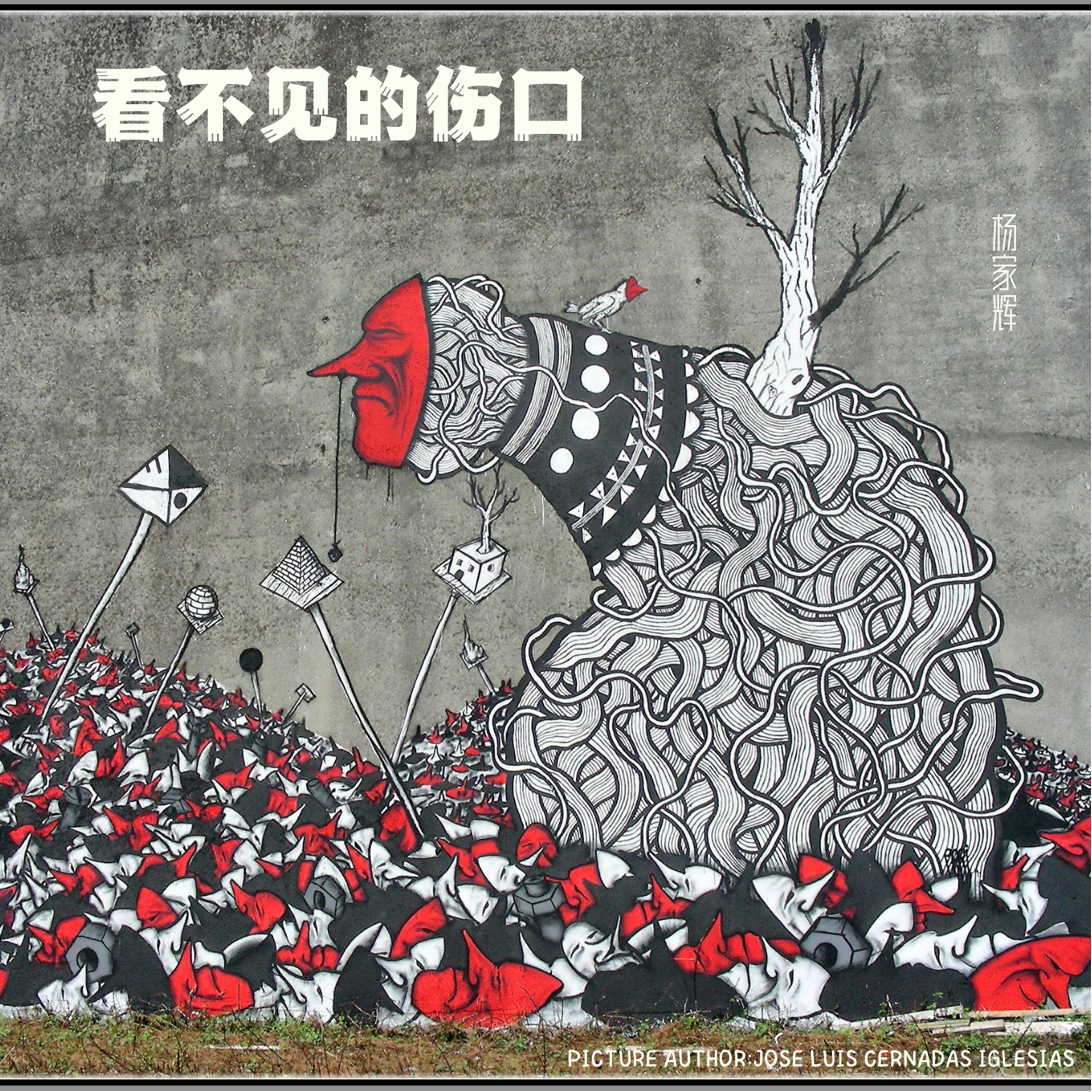 看不见的伤口封面