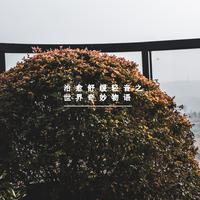 治愈舒缓轻音之世界奇妙物语