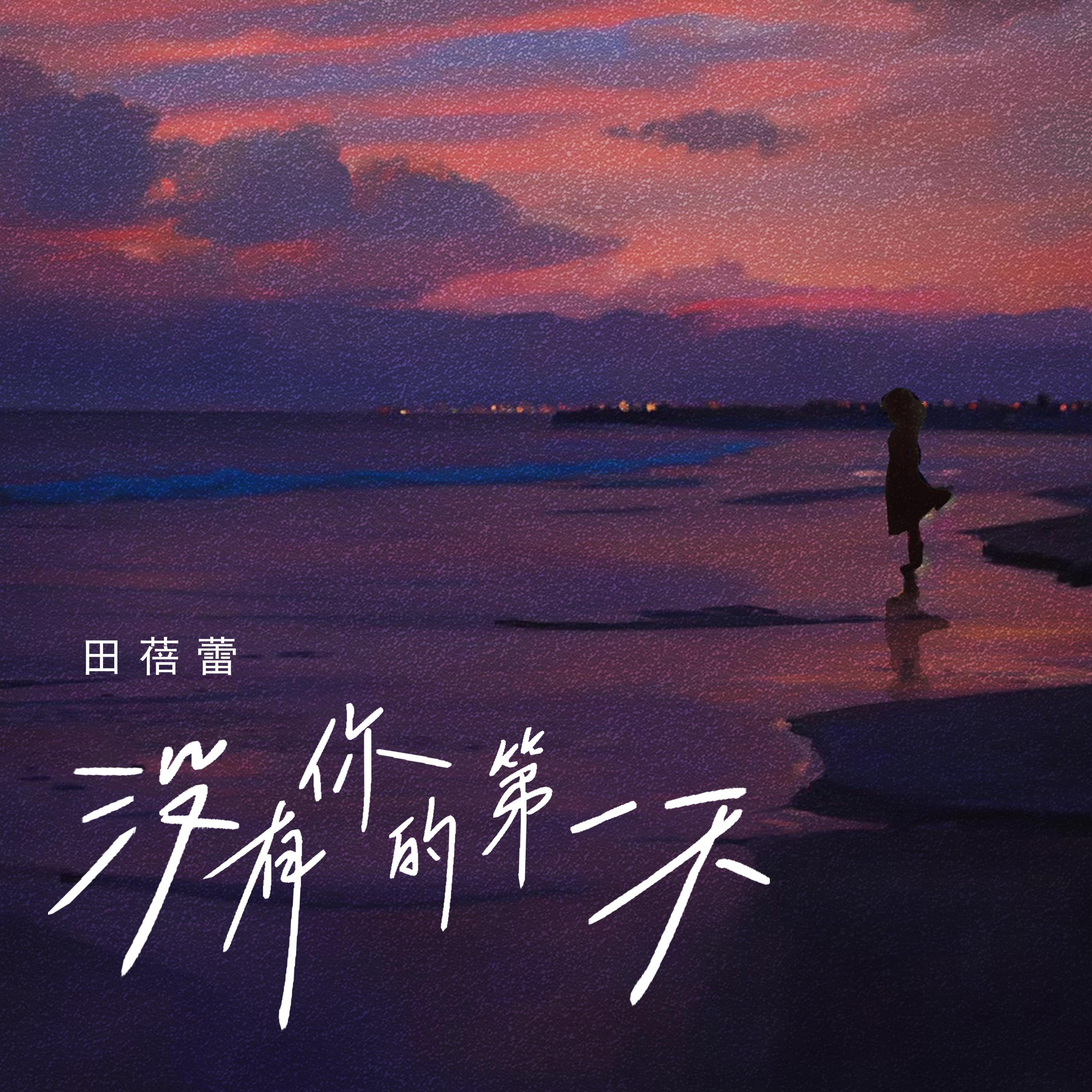 没有你的第一天（伴奏）封面
