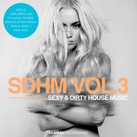 **** & Dirty House Music, Vol. 3