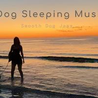 Dog Sleeping Music