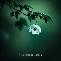 A Dreamlike Reverie (Suspended Bloom)