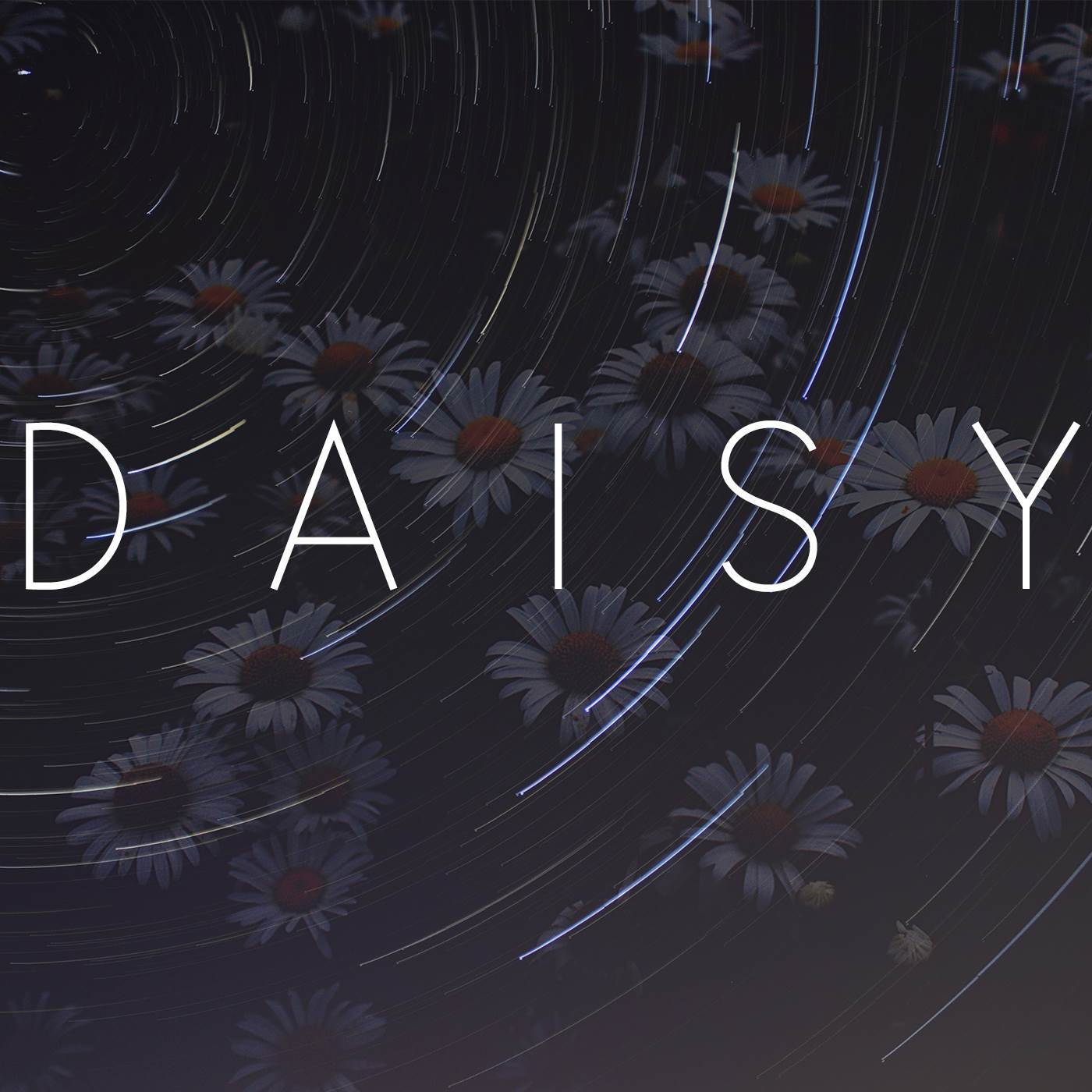 Daisy封面