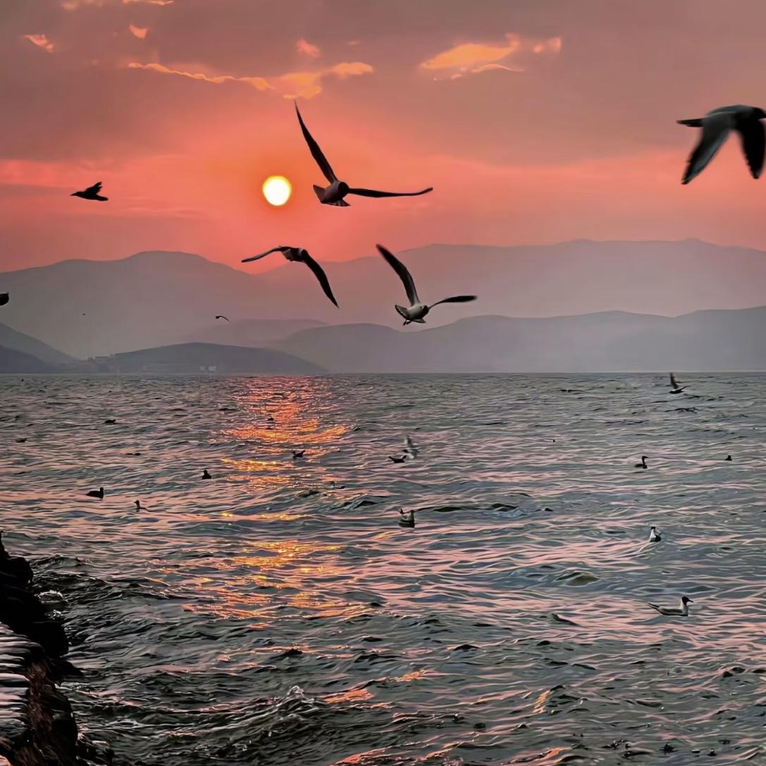 爱不释手（待我拱手河山讨你欢）