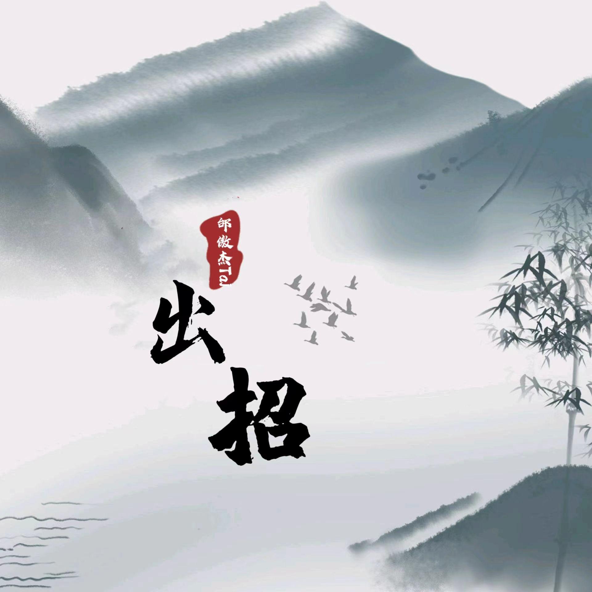 出招（空拍）封面