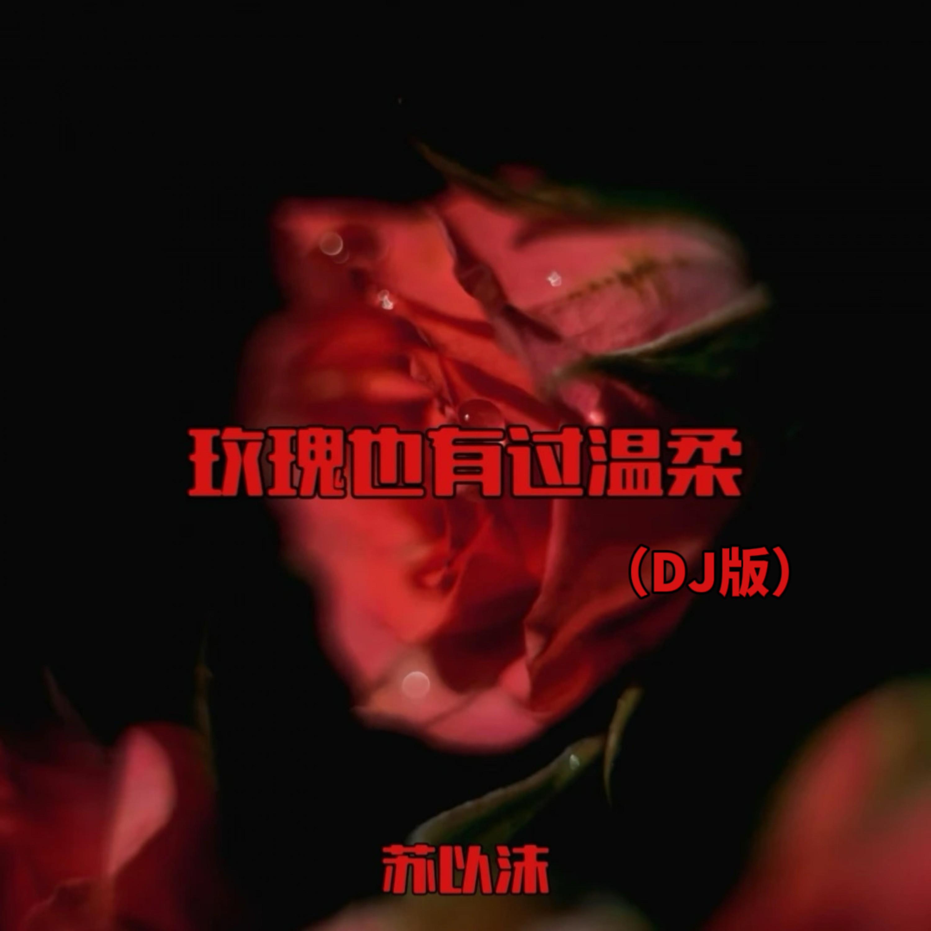玫瑰也有过温柔 (Dj版)封面