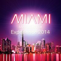 Miami Minimal House Experience 2014