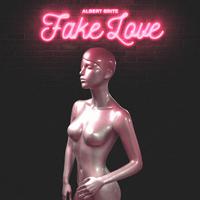 Fake Love