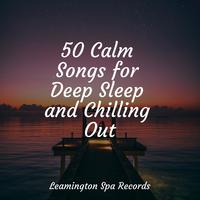 50 Calm Songs for Deep Sleep and Chilling Out