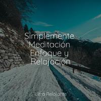 Musica para Massagem Especialistas - Reiki
