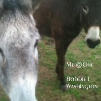 Bobbie L. Washington资料,Bobbie L. Washington最新歌曲,Bobbie L. WashingtonMV视频,Bobbie L. Washington音乐专辑,Bobbie L. Washington好听的歌