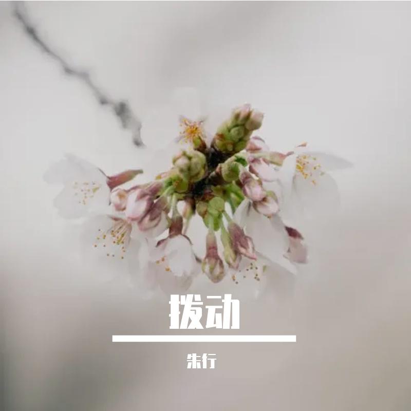 拨动Prod.Meecro封面