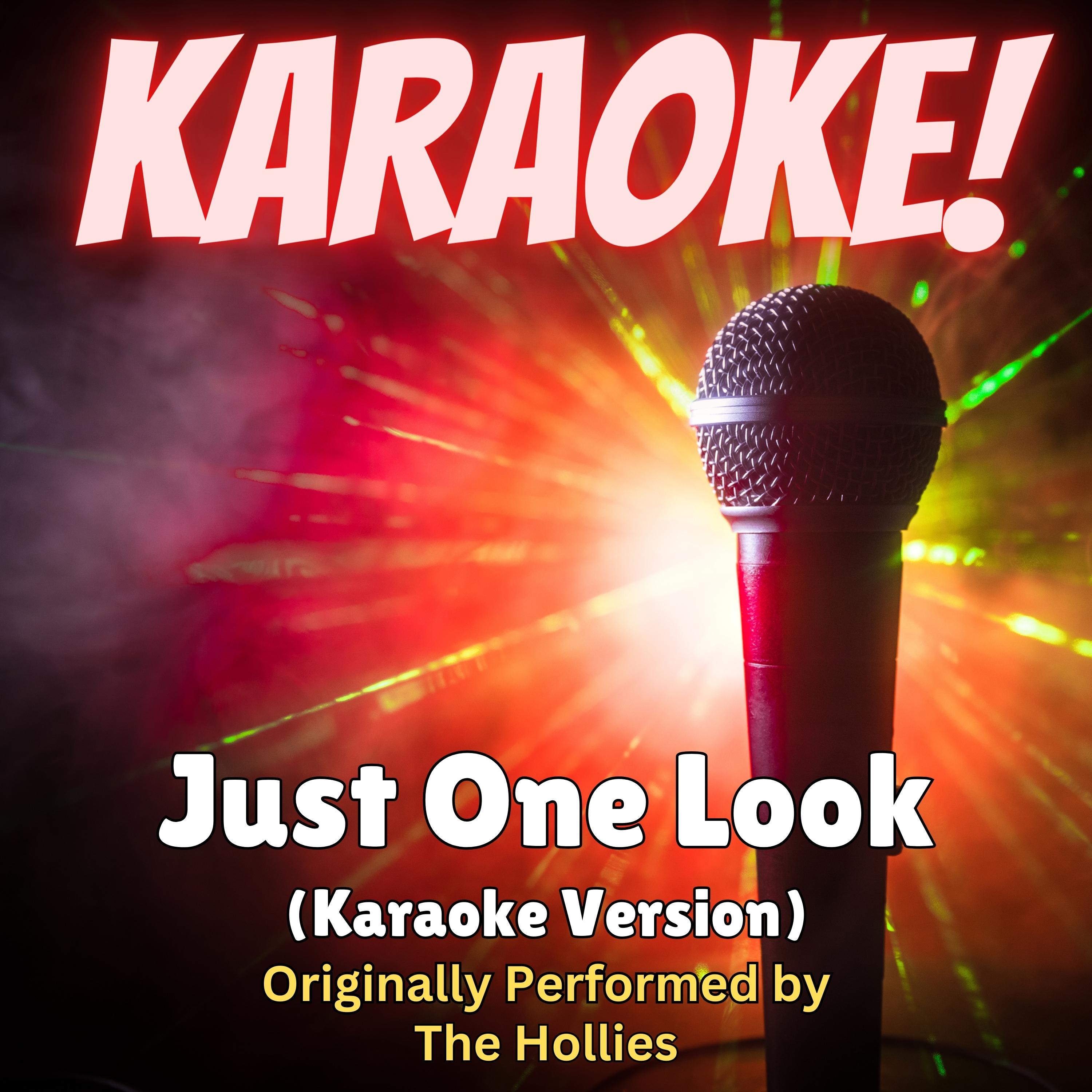 Just One Look (Karaoke Version Originally Performed by The Hollies