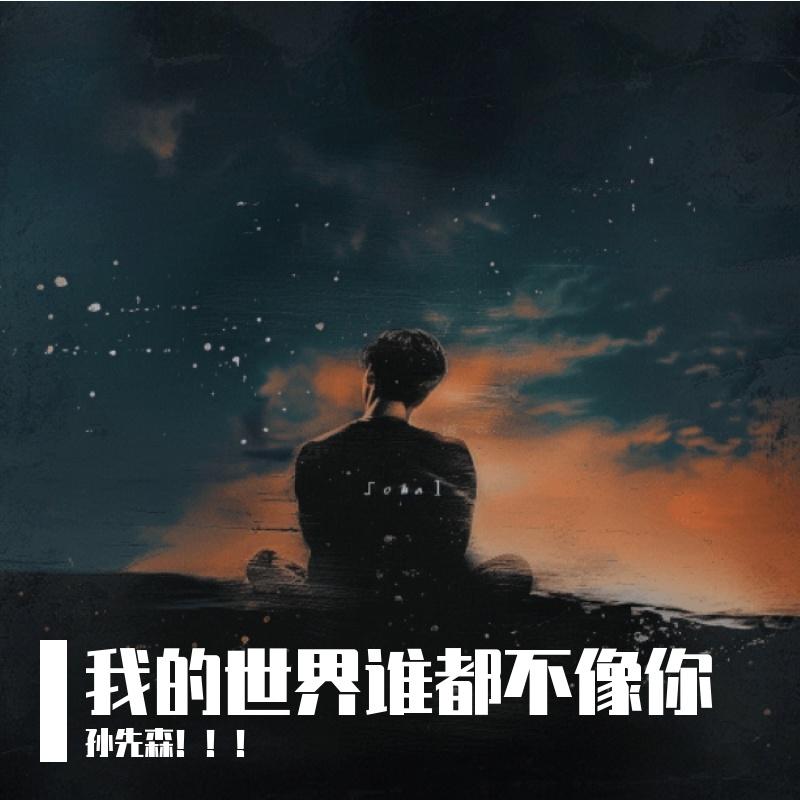 我的世界谁都不像你封面