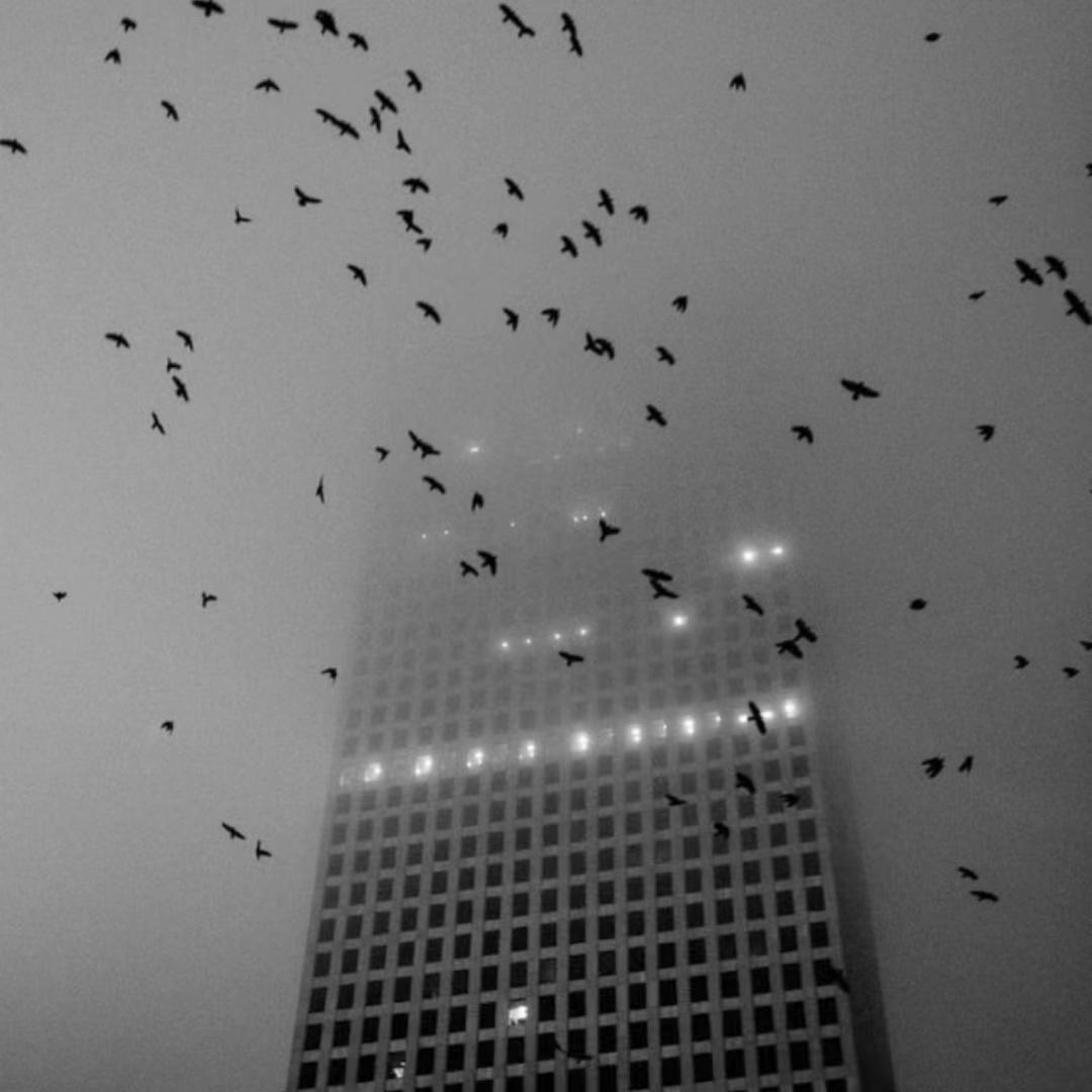 世间美好与你环环相扣