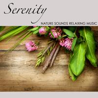 Serenity: Nature Sounds Piano, Cello & Flute Relaxing Music