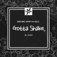 Gotta Shake EP