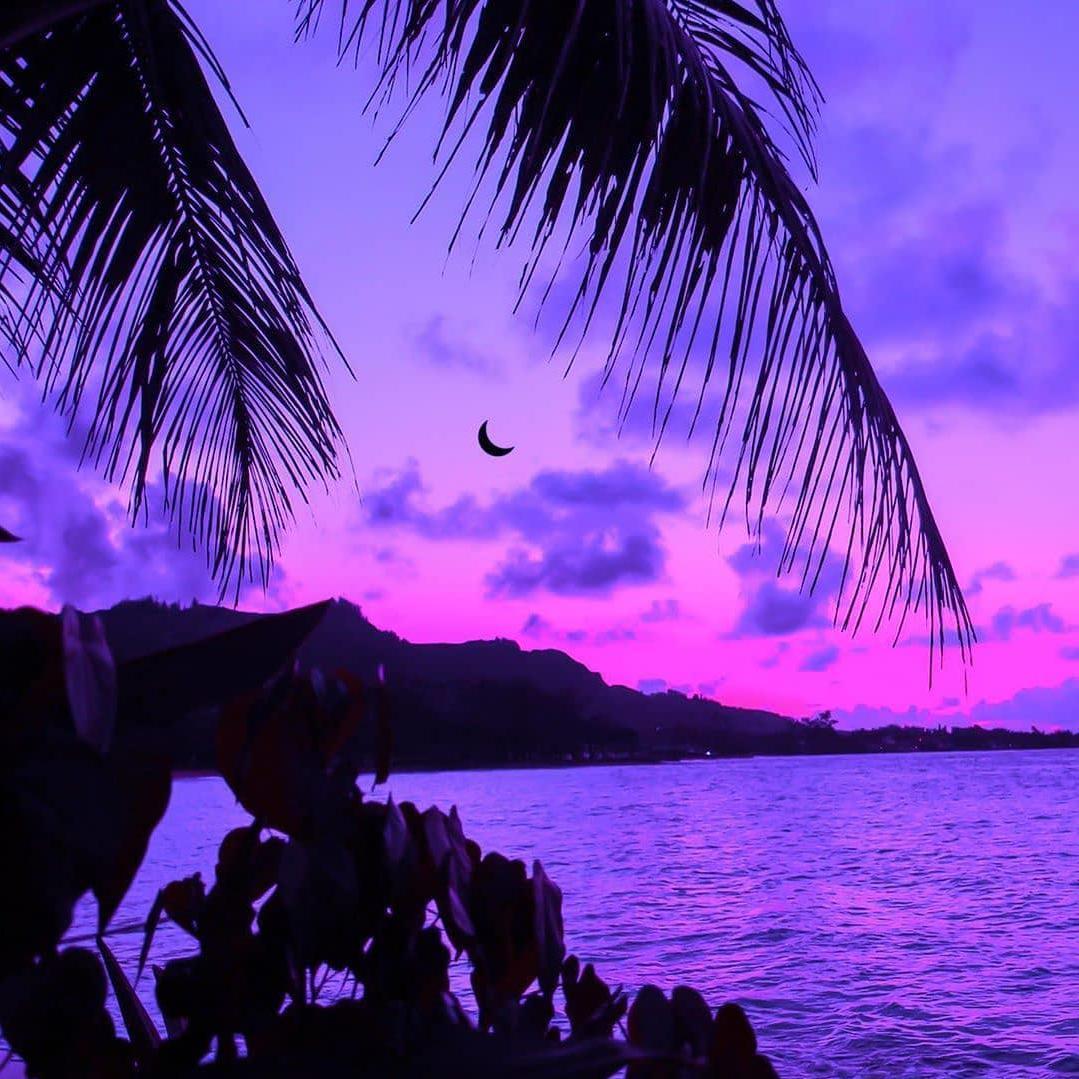 tender like you._c0de731_tender like you. | 在线播放_tender like you.歌词_tender like you.下载 | 网易云音乐