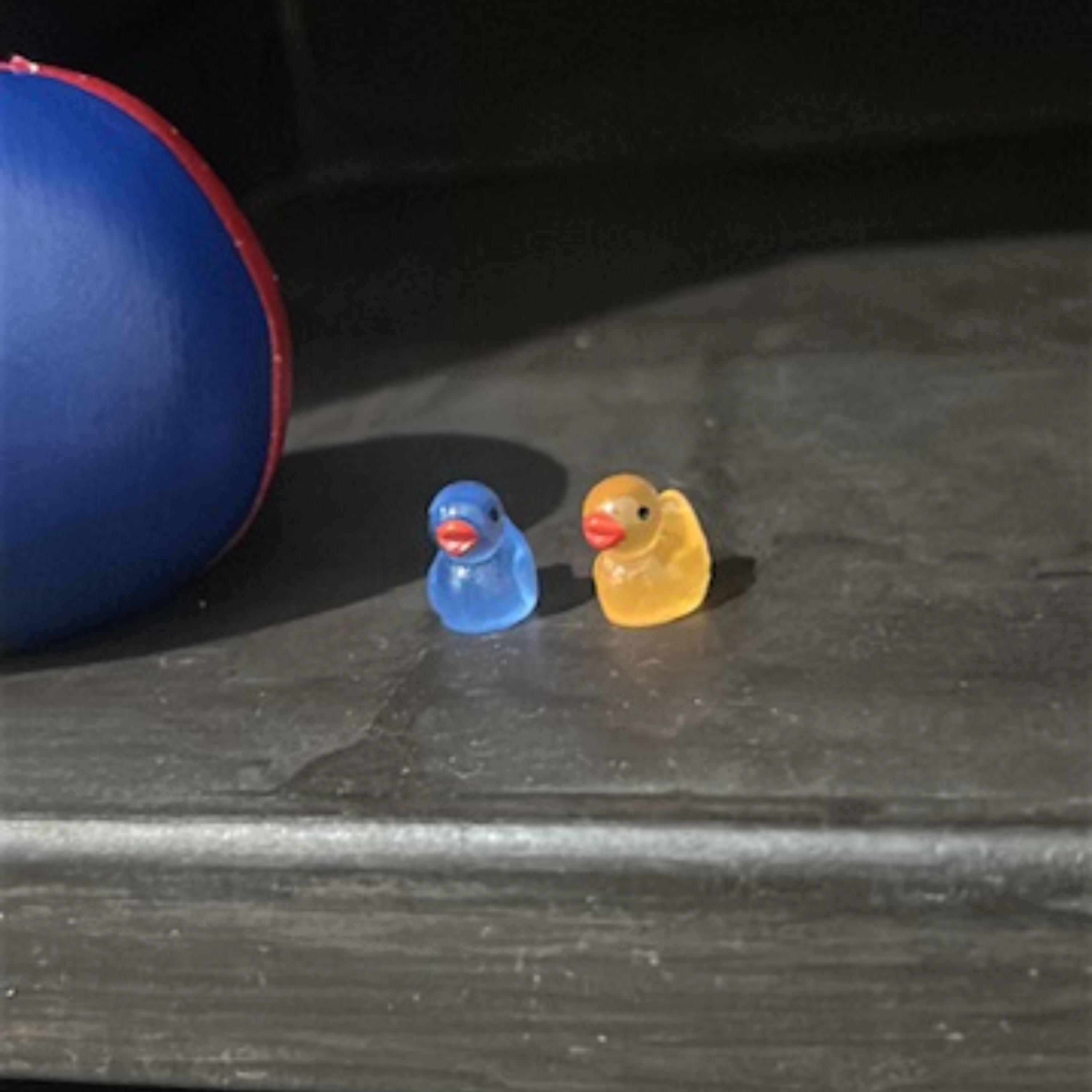 Becerros que me cambiaron