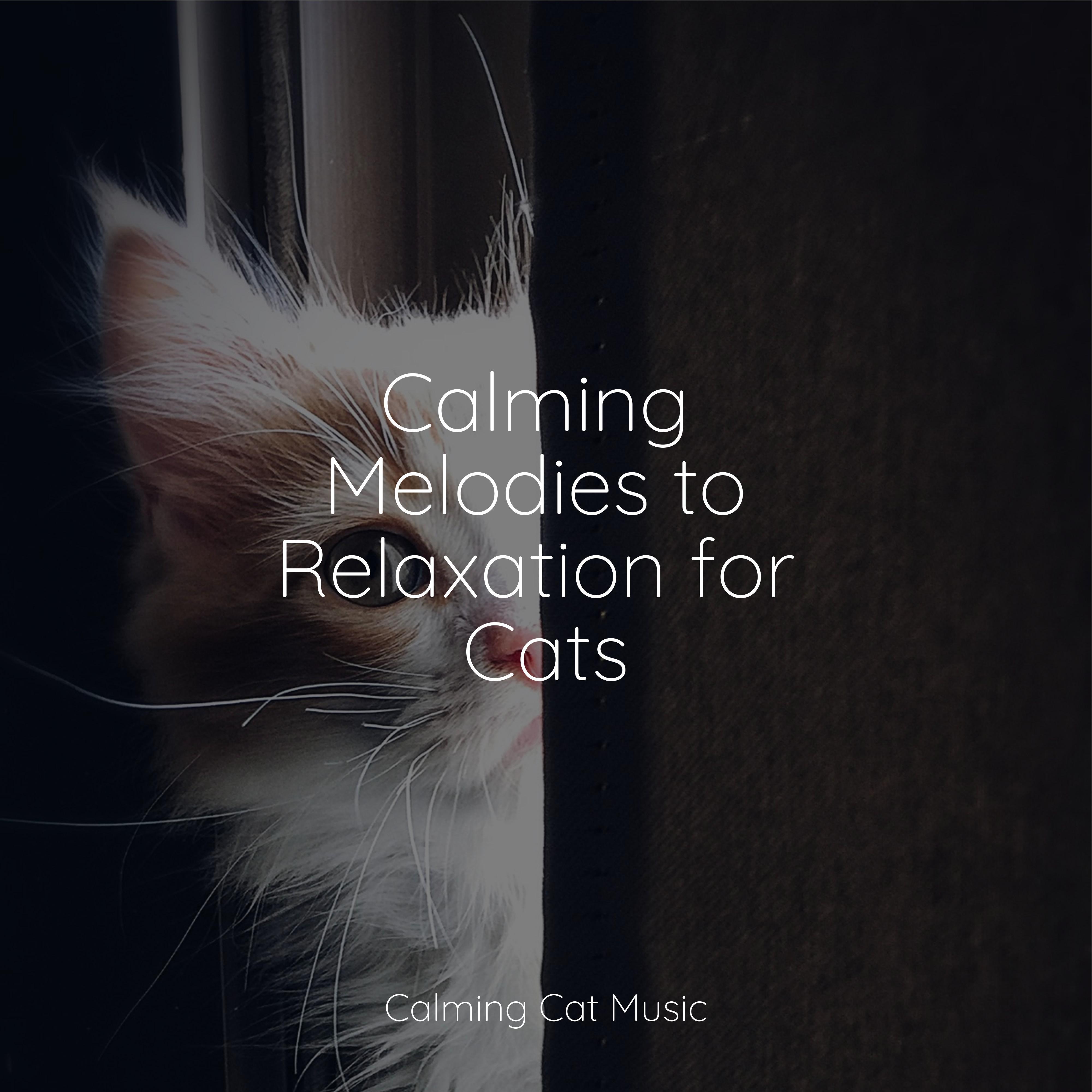 Bliss Jazz Music Therapy for Cats/Music for Cats Project/Cat Music