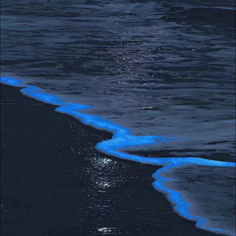 虚拟 1.1x封面