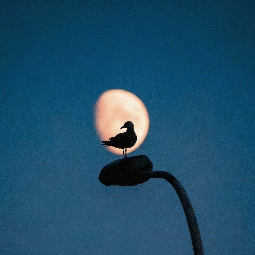 月牙湾R&B（男声）