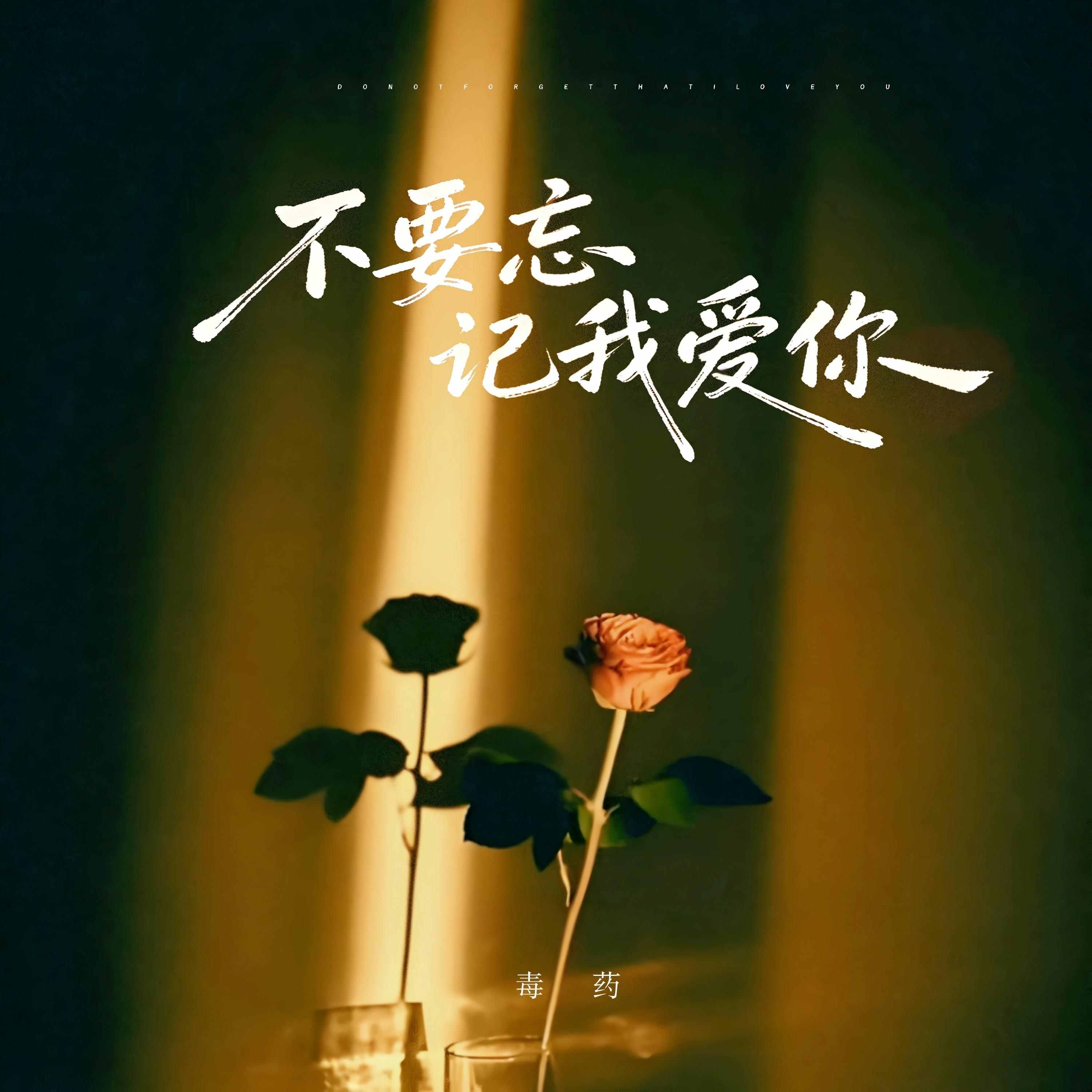 不要忘记我爱你封面