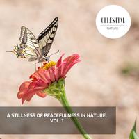 A Stillness of Peacefulness in Nature, Vol. 1