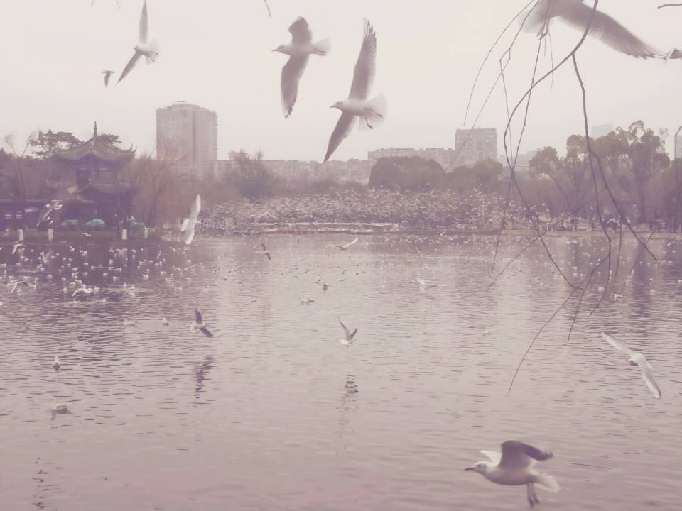 song-img