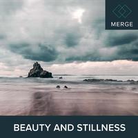 Beauty And Stillness