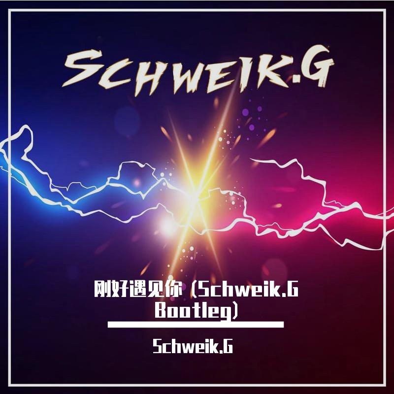 李玉刚-李玉刚 - 刚好遇见你 (Schweik.G Bootleg)（Schweik.G remix）封面