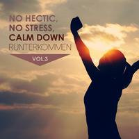 No Hectic, No Stress, Calm Down: Runterkommen, Vol. 3