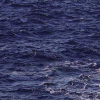 林子恬资料,林子恬最新歌曲,林子恬MV视频,林子恬音乐专辑,林子恬好听的歌