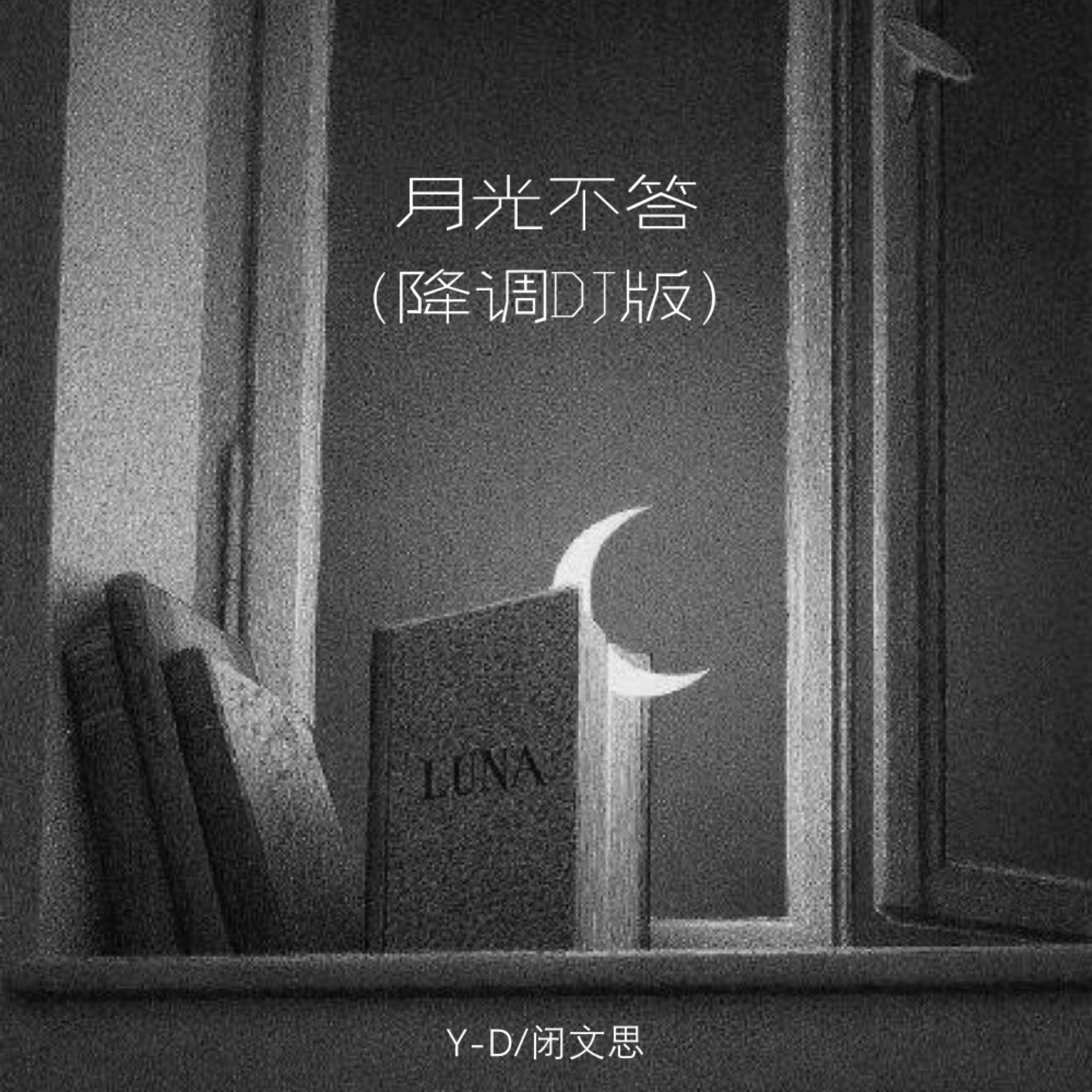 月光不答 (DJ降调版)封面