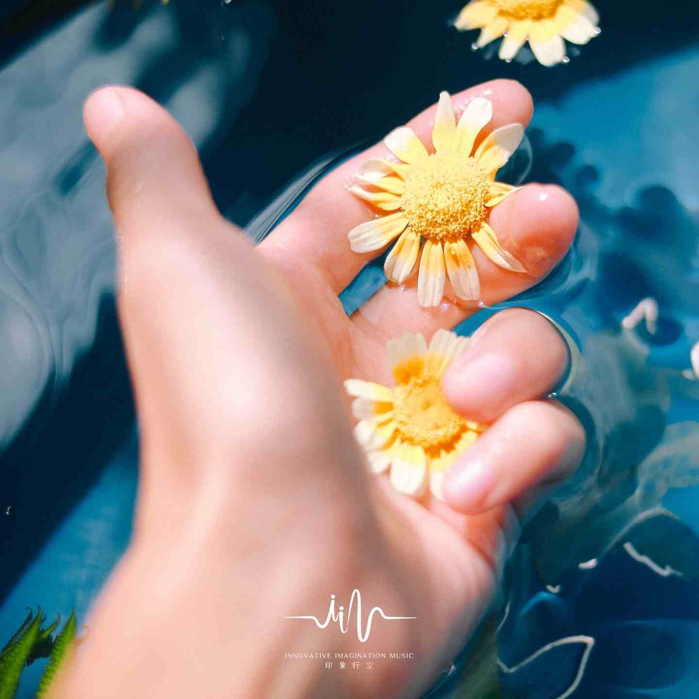 淡淡花香 (古筝+雨声)封面