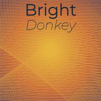 Bright Donkey