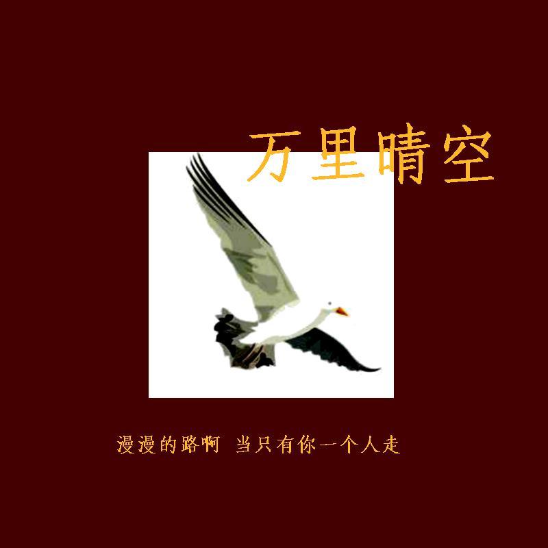 万里晴空封面