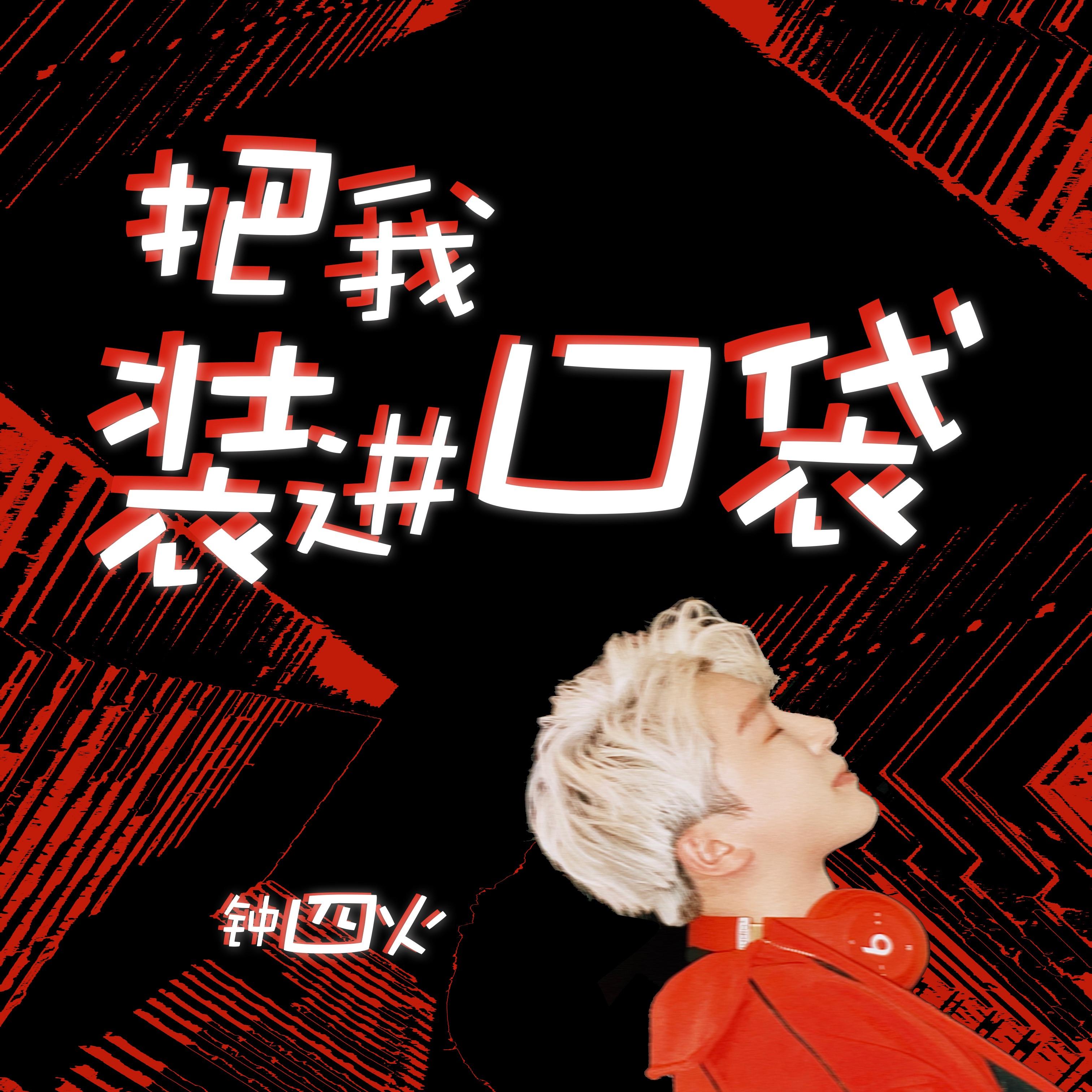 把我装进口袋 伴奏封面