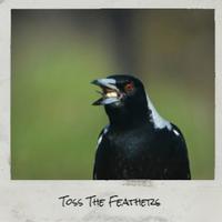 Toss The Feathers