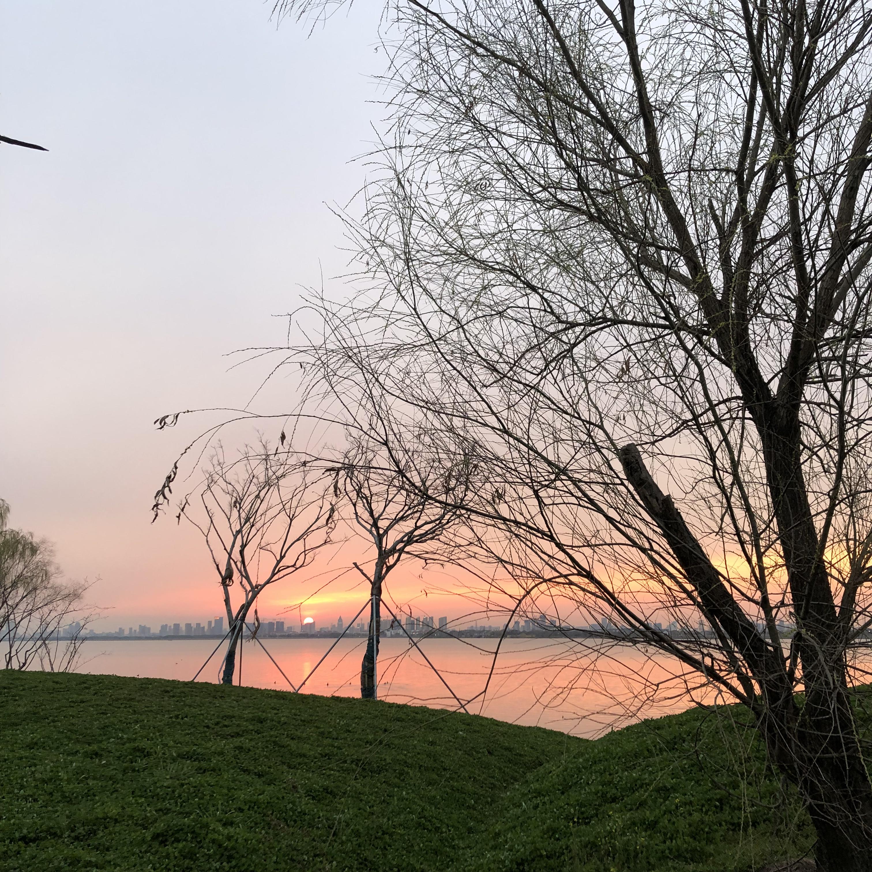 EGRET-Drivers license x Ferrari（EGRET remix）