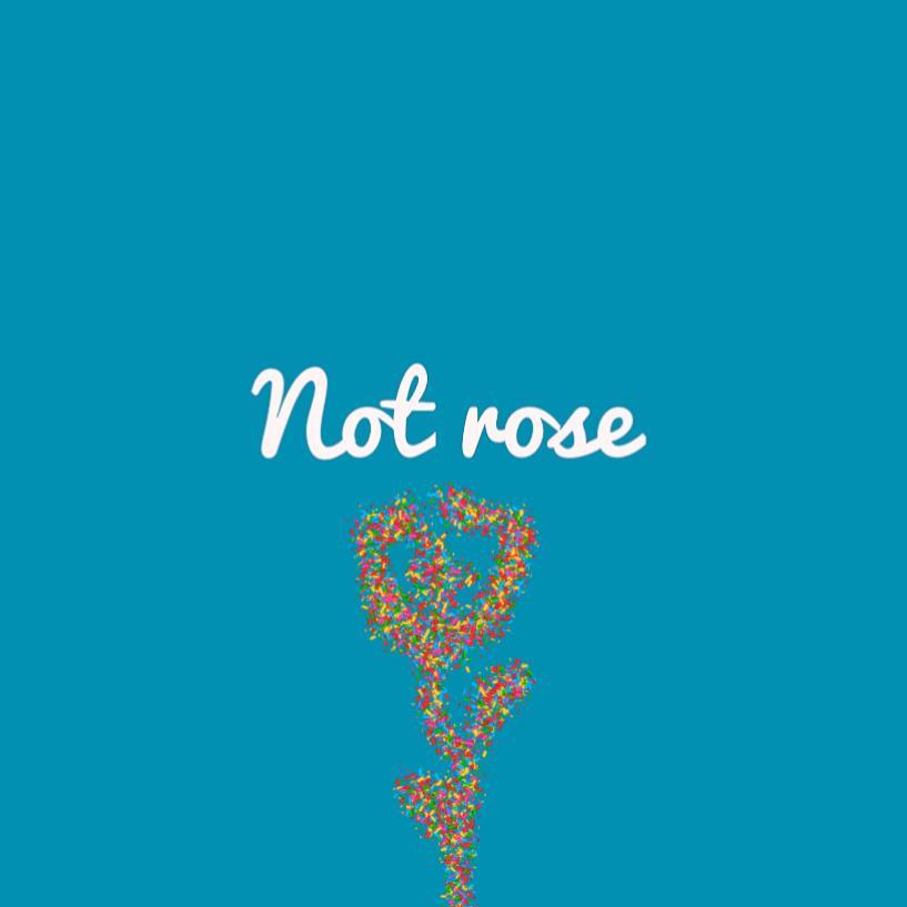 刺鸟_龚火火_《Not rose》 | 在线播放_刺鸟歌词_刺鸟下载 | 网易云音乐