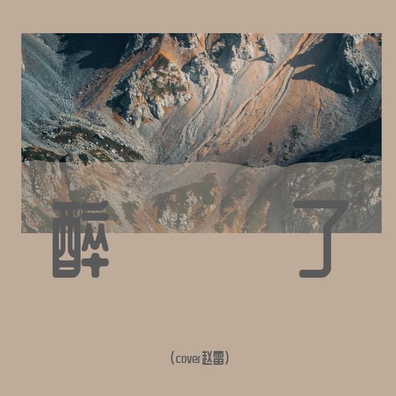 醉了 - （cover赵雷）封面