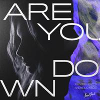 Are You Down (Consilium Remix)