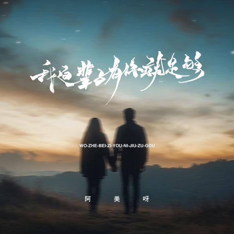 我这辈子有你就足够 (伴奏)封面